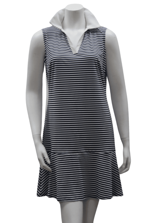 Rehoboth Dress in Navy Stripe